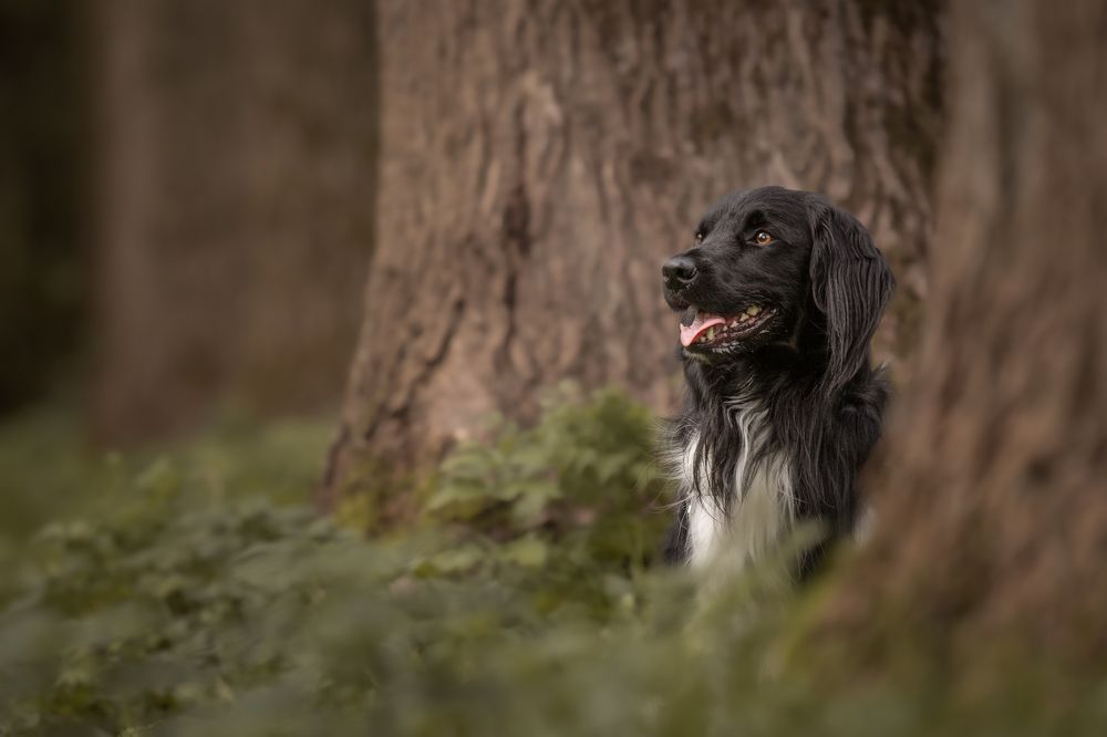 Photograph by Pascalle Wijnands