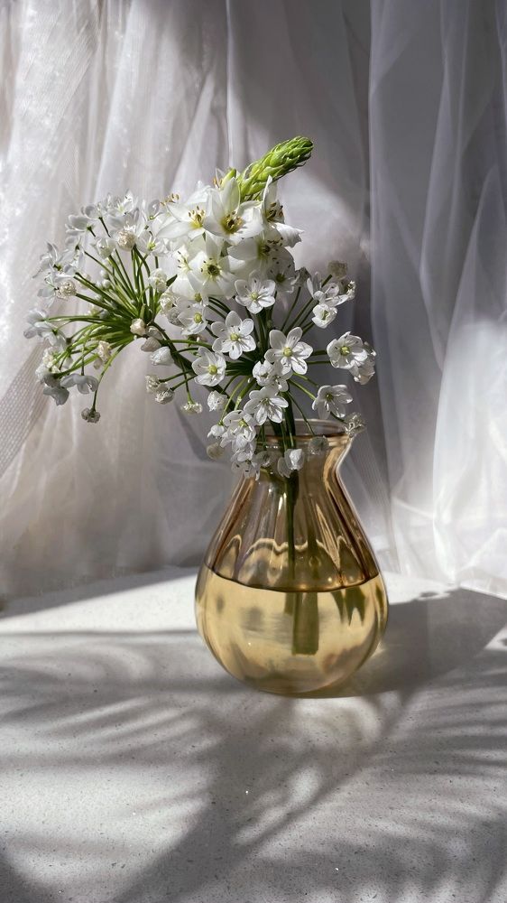 Photograph by Наталья