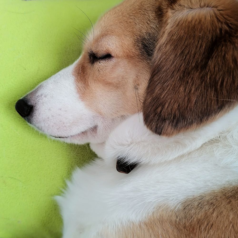 Photograph by Наталья Муравейко