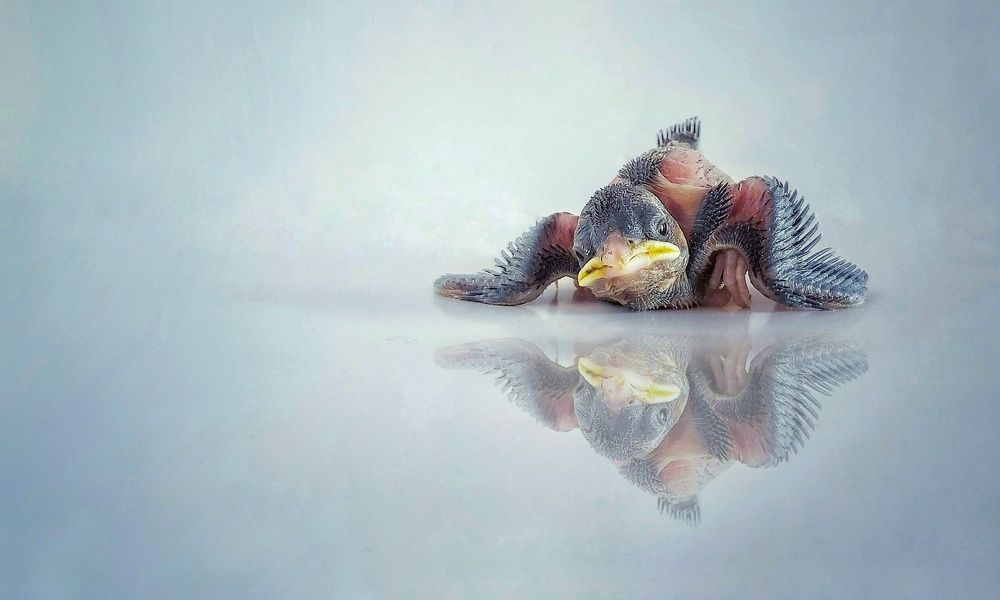 Photograph by Mahmoud Salah