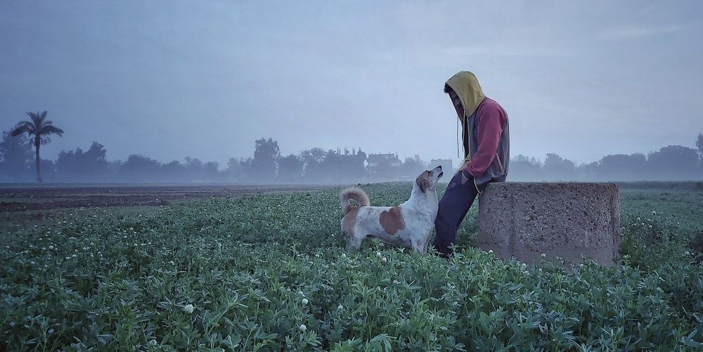 Photograph by Mahmoud Salah