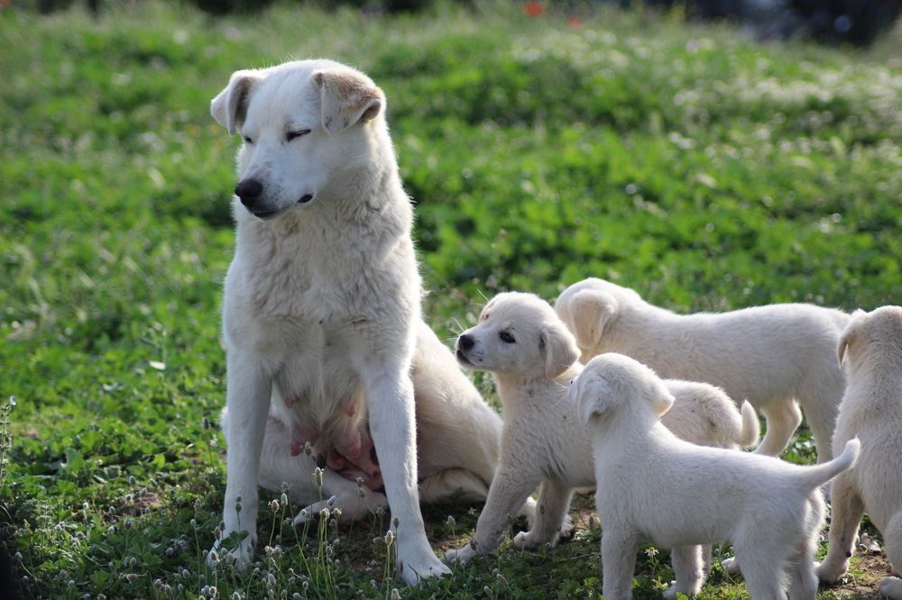 Photograph by Panagiotis Batatolis