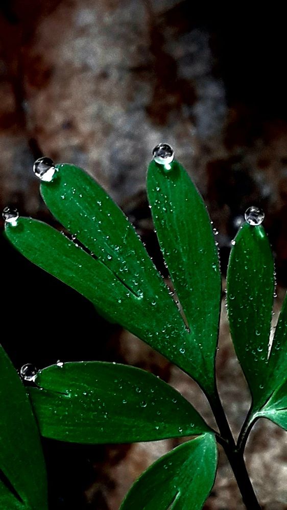 Photograph by Татьяна Солтан