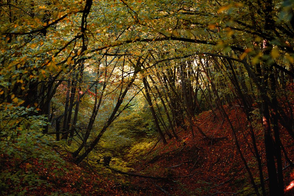 Photograph by Фурман Алексей