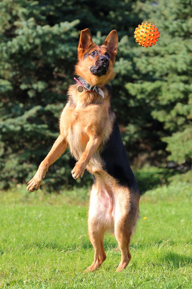 Photograph by IrenRRR