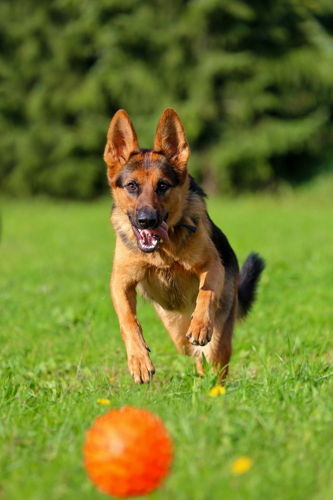 Photograph by IrenRRR