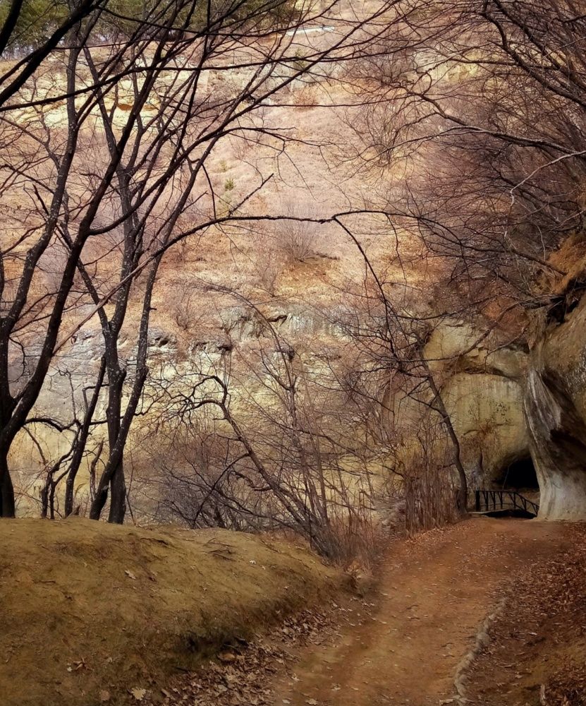 Photograph by Эльза Трисантович