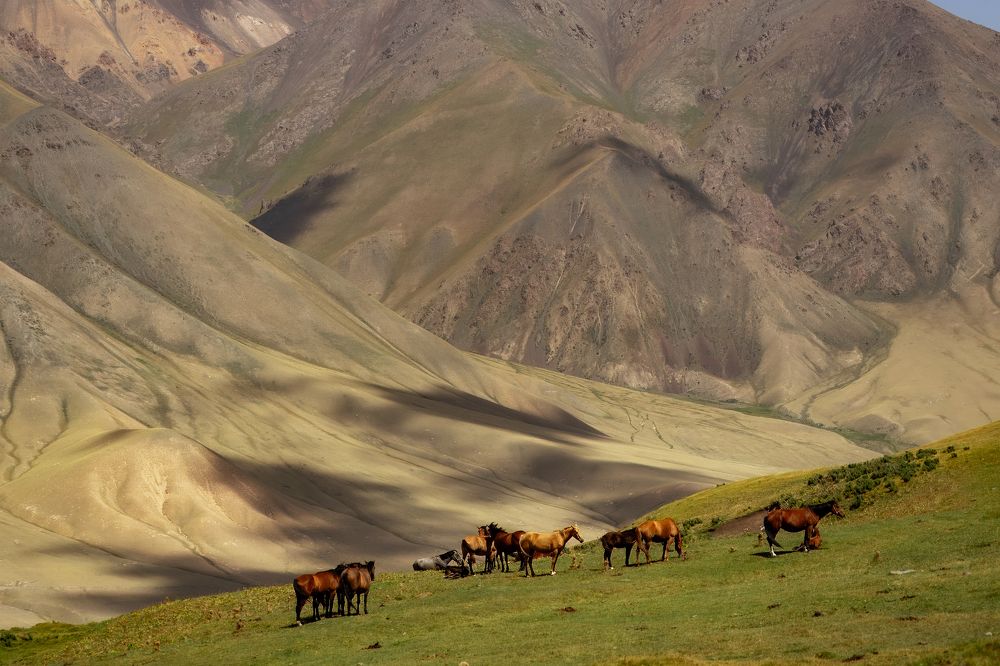 Photograph by Екатерина Дубровская