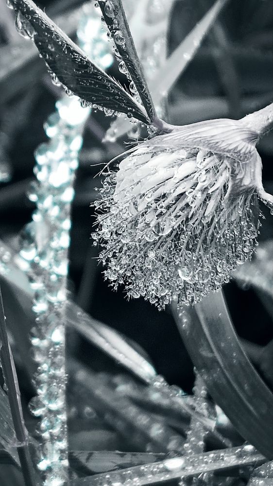 Photograph by Nаtaliia Zolotova