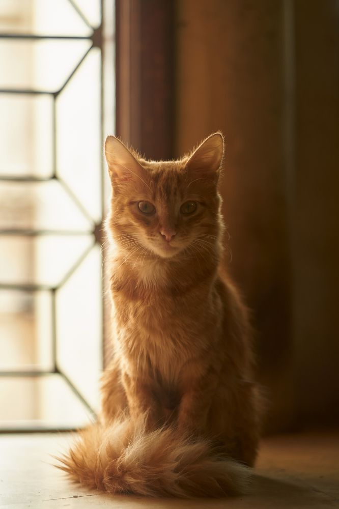 Photograph by Diego Garcia