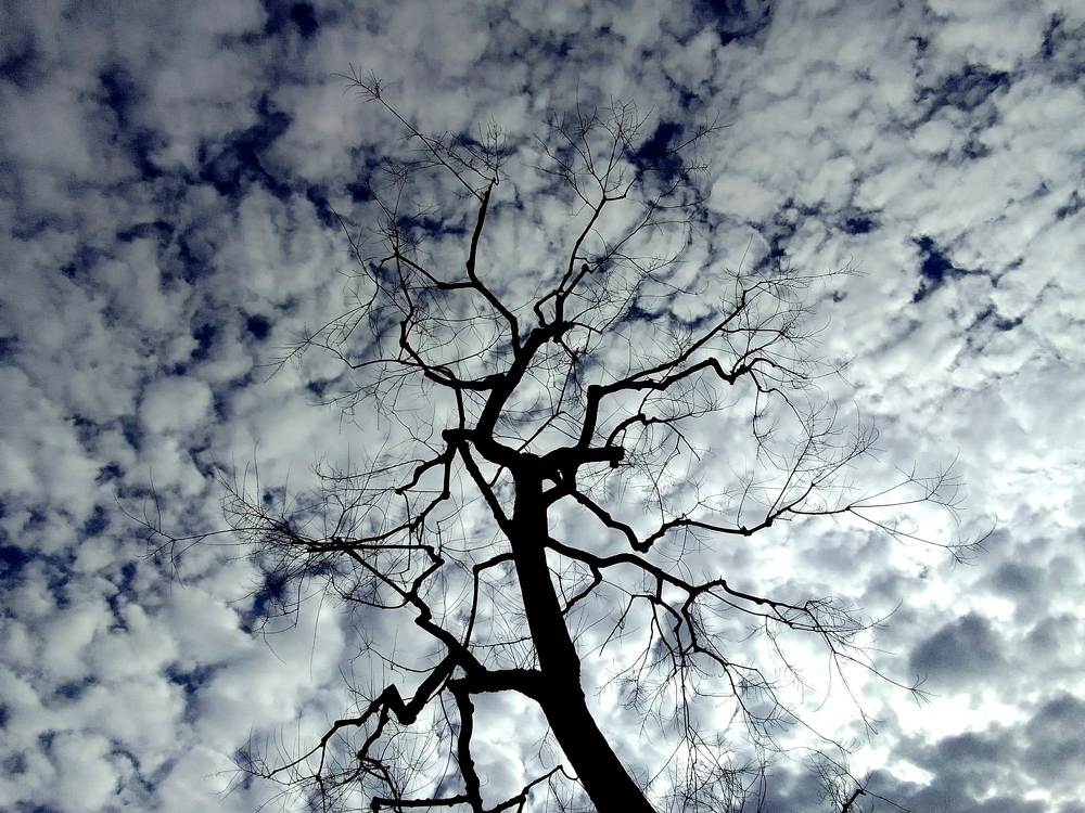 Photograph by Sergio Oleksenko