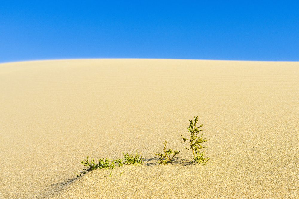 Photograph by Марат Кидиров