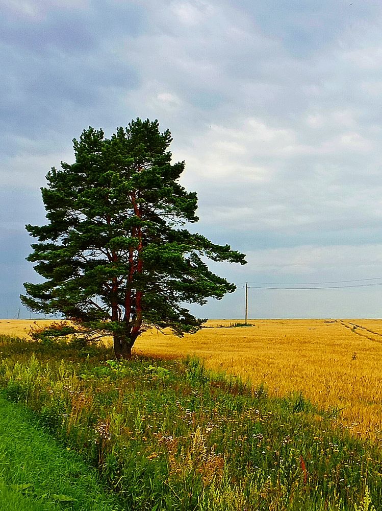 Фотография автора Евгений Карпов