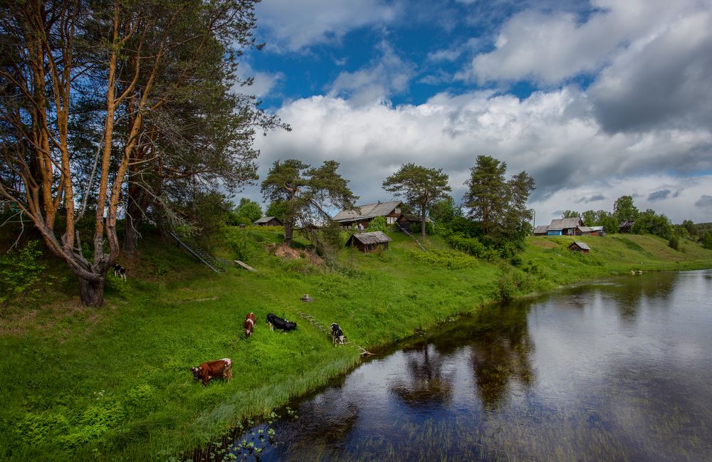 Photograph by Наталия Колтакова