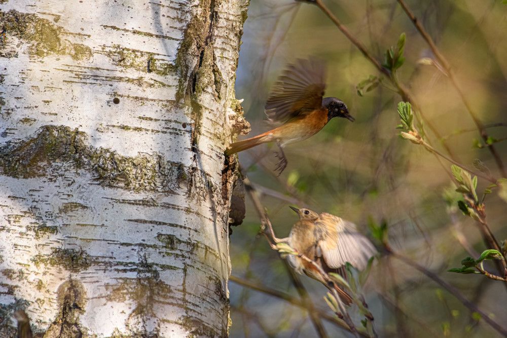 Photograph by Vitalijs Mironovs