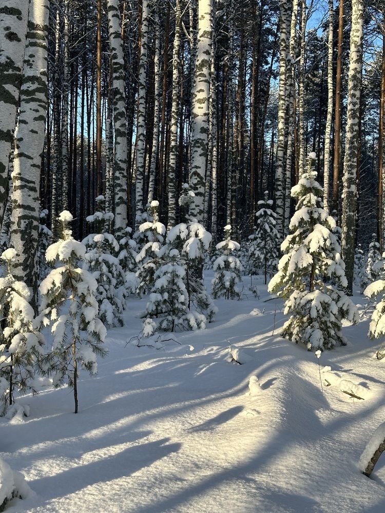 Photograph by Марина