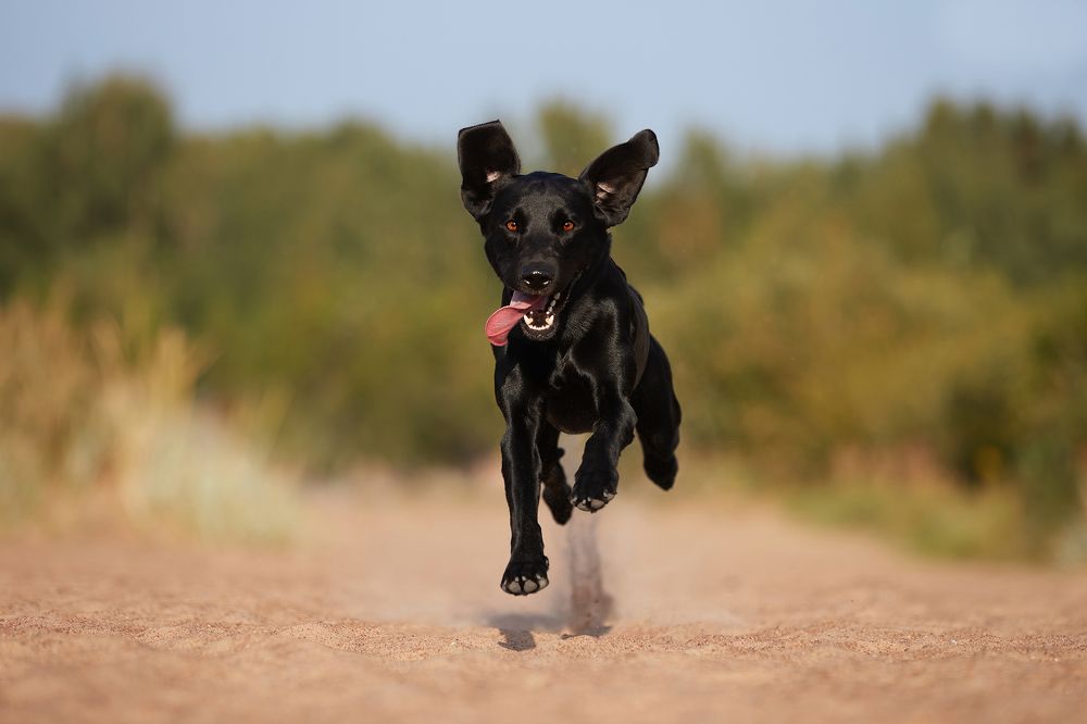 Photograph by Лана Полякова