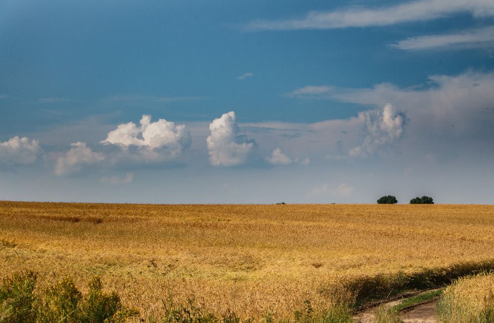 Photograph by Малащев Алексей