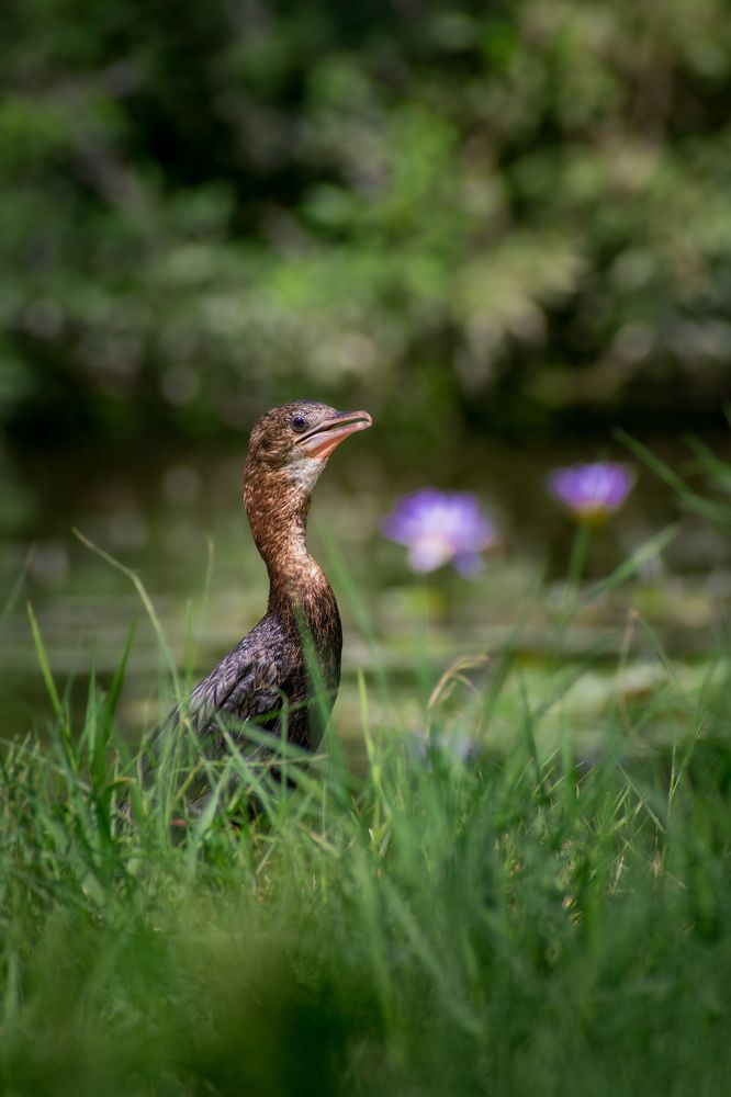 Photograph by Nitin Sarkar