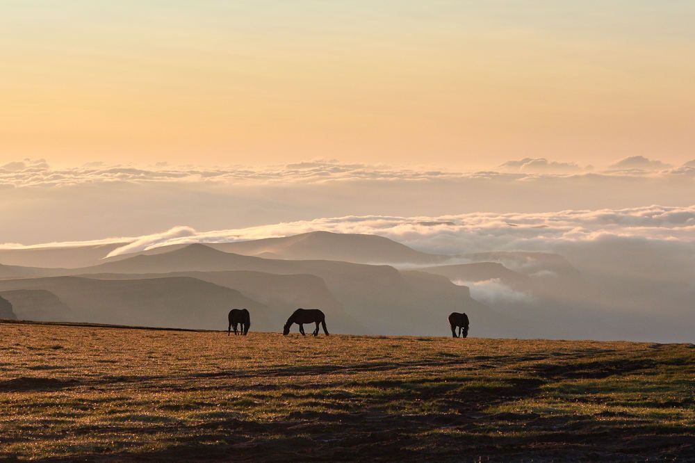 Photograph by Александр Авдушев