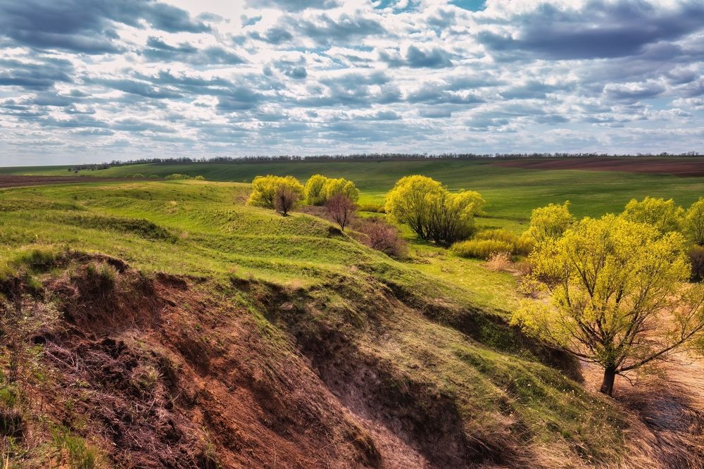 Photograph by Дудников Александр