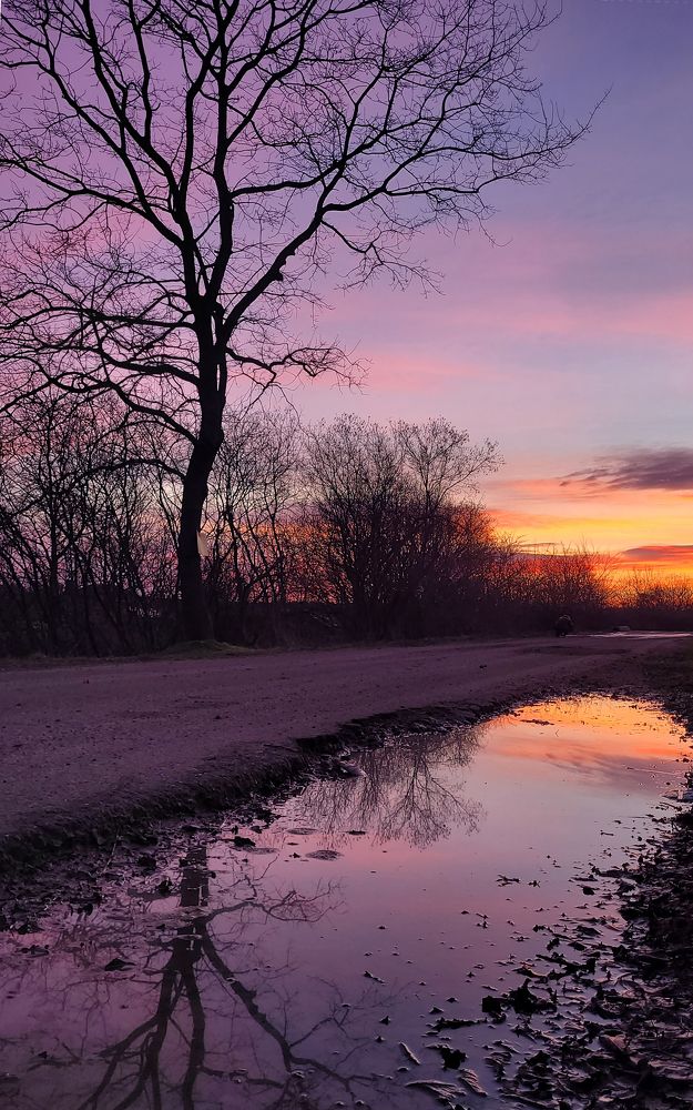 Photograph by Дерезюк Юрий Александрович