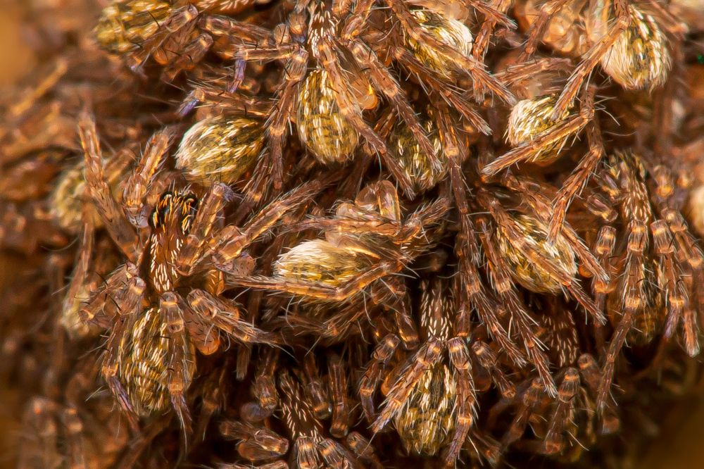 Photograph by Thiago Antunes