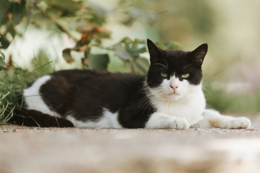 Photograph by Данис Вафин