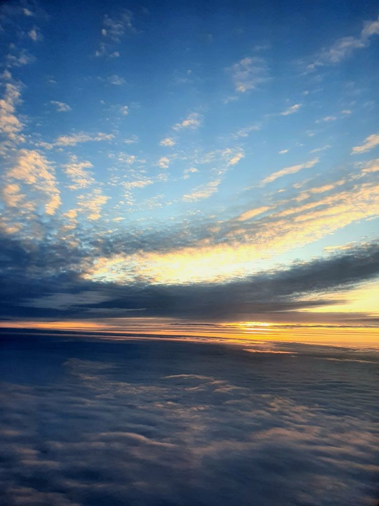 Photograph by Elena Ibragimova