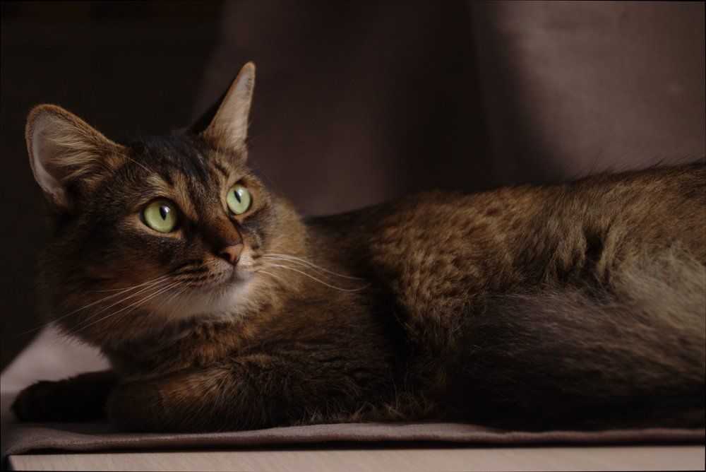 Photograph by Елена