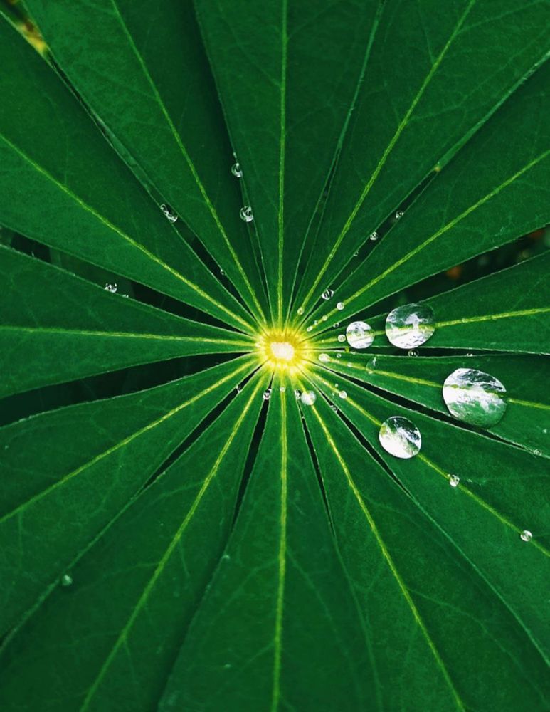 Photograph by Марина Хохрякова