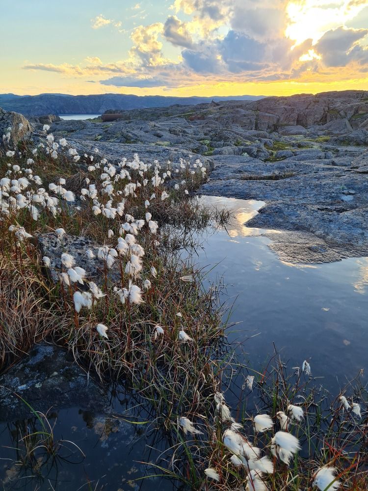 Photo #10377310