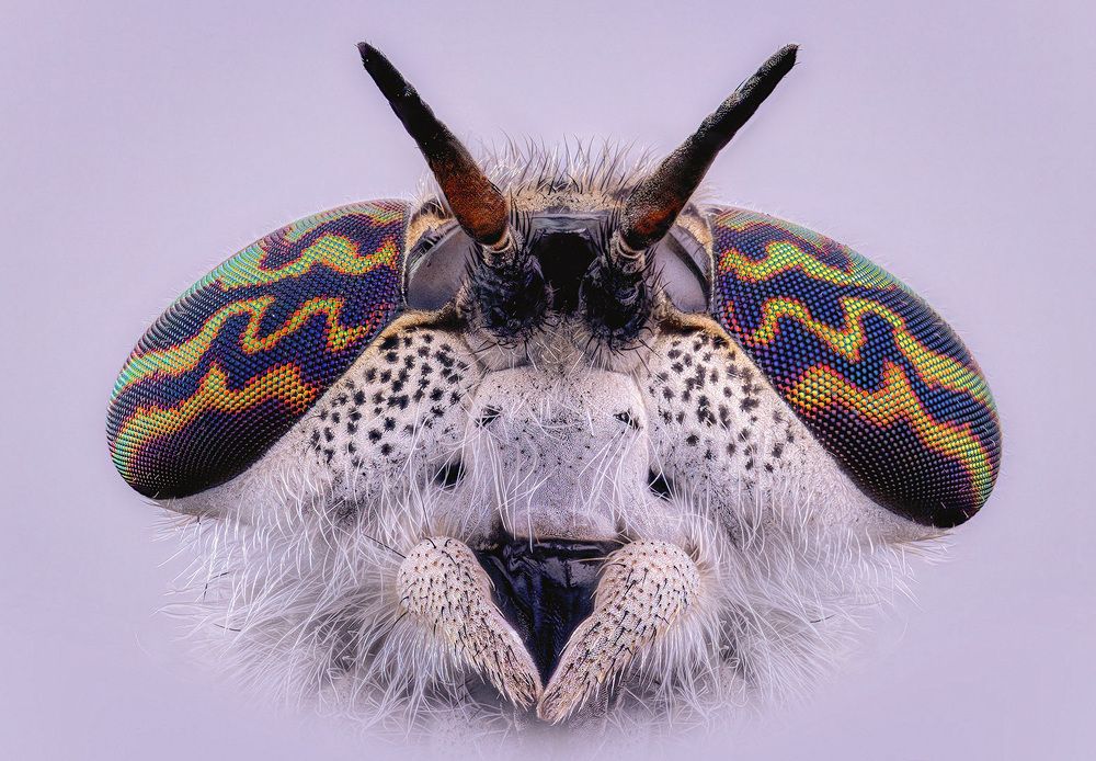 Photograph by Kavaliauskas Eugenijus