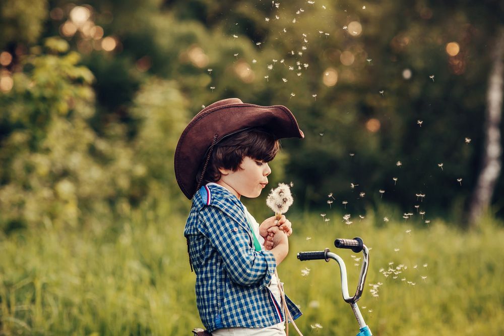 Photograph by Ипатьева Анна