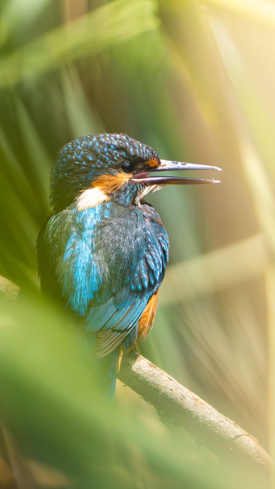 Photograph by Matei Firică