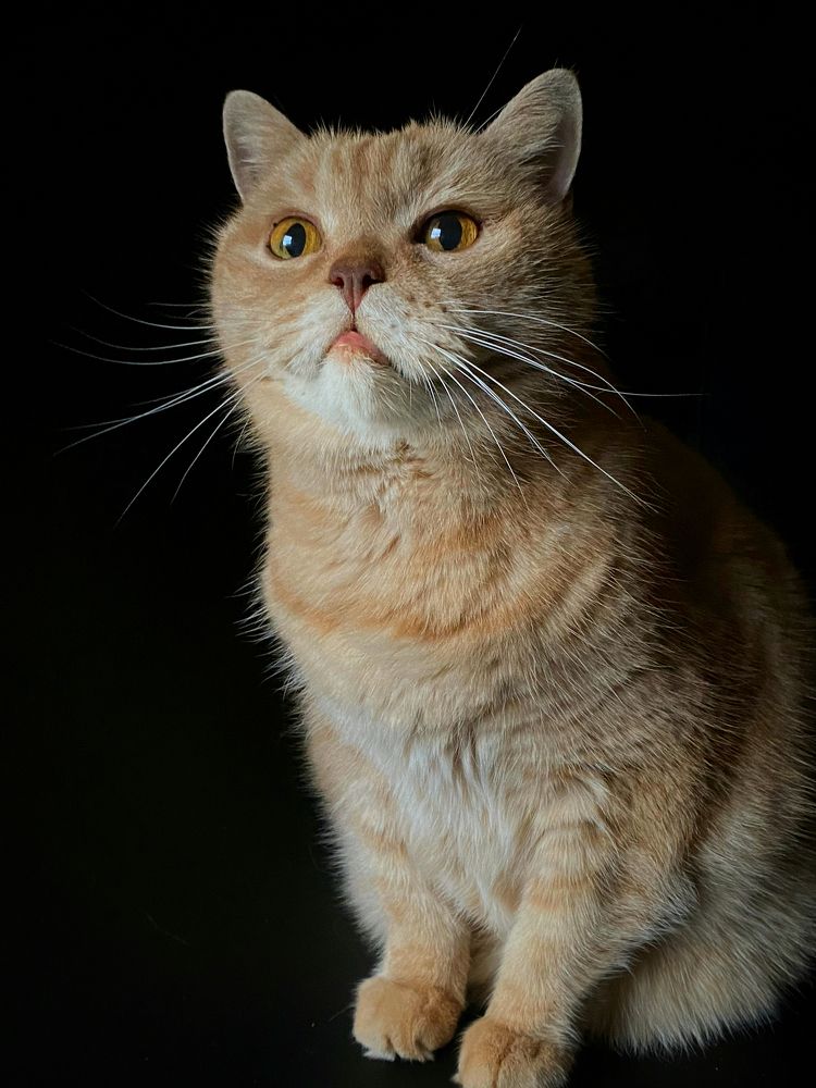 Photograph by Елена Войтова