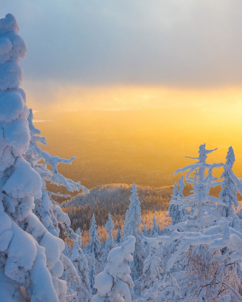 Фотография автора Кристина Горяйнова