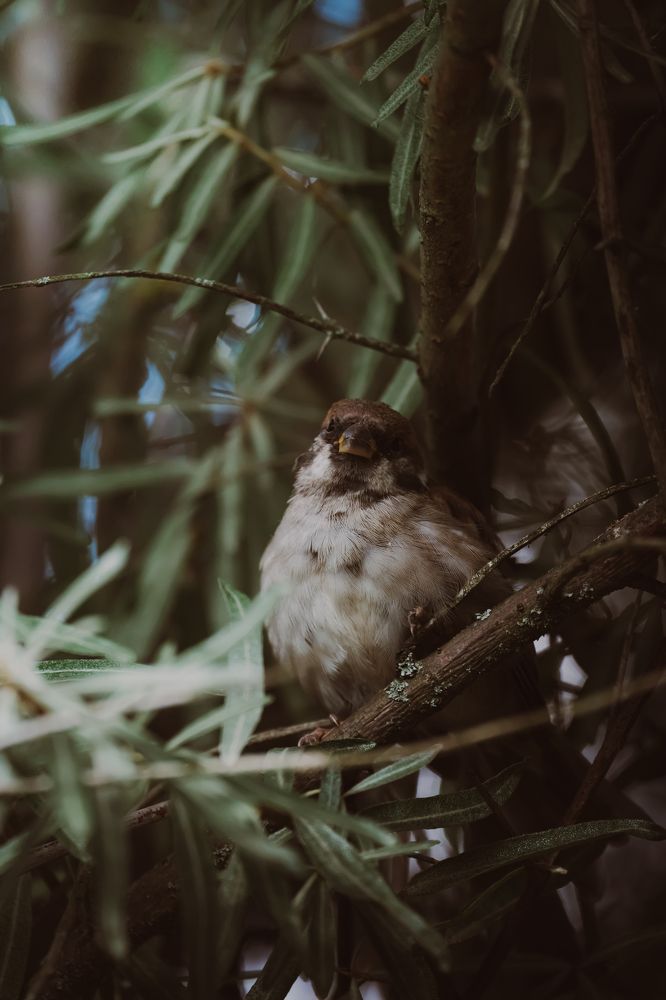 Photograph by Герман Крупенин