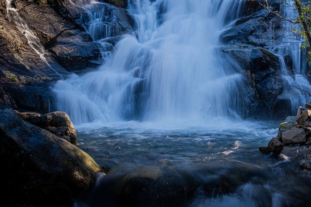 Photograph by Amelia Pardo