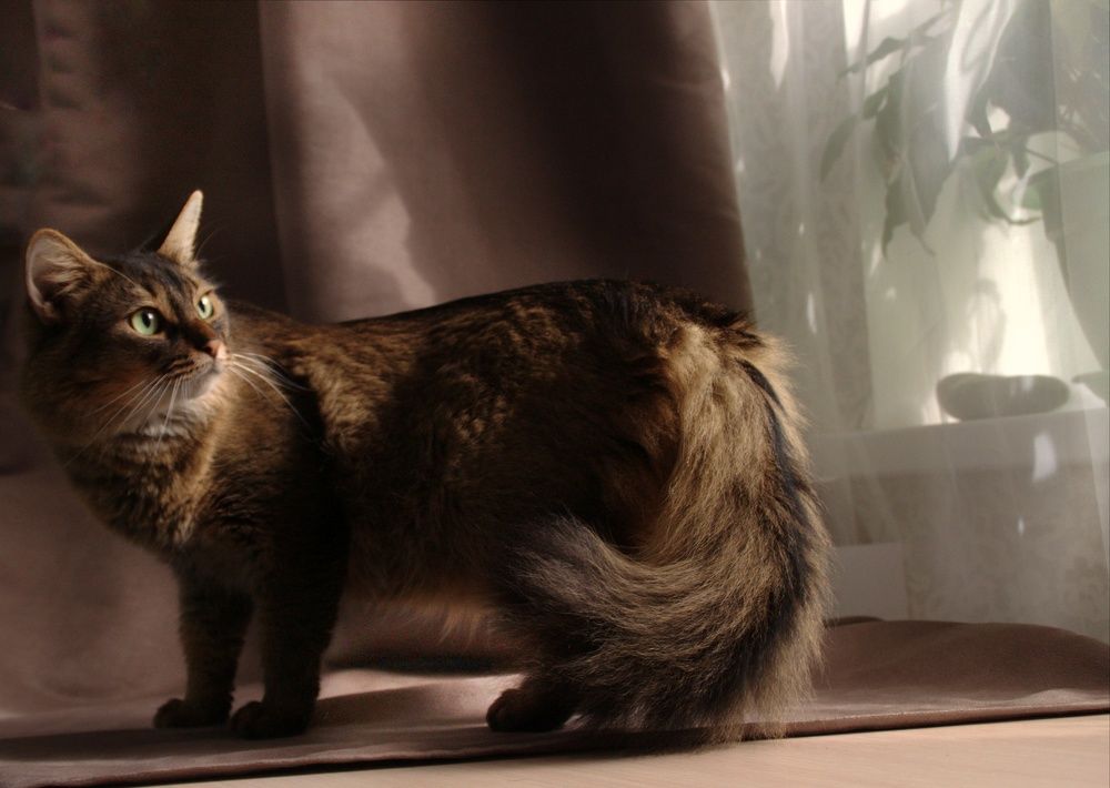 Photograph by Елена