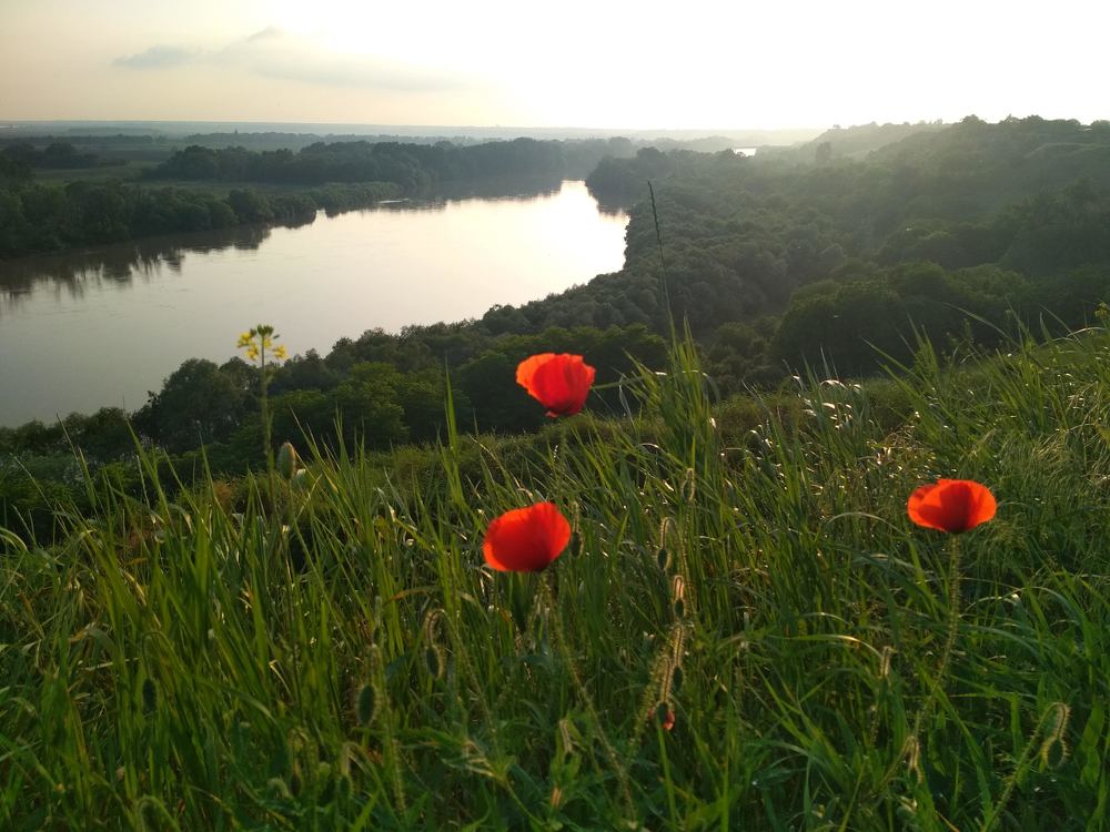 Photograph by Дарья Зотова