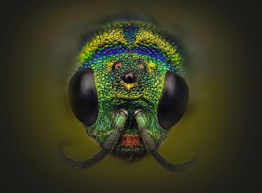 Photograph by Kavaliauskas Eugenijus