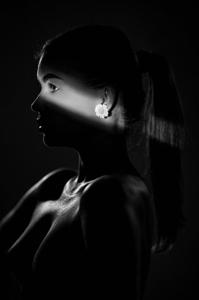 Фотография автора Анастасия Шипилова