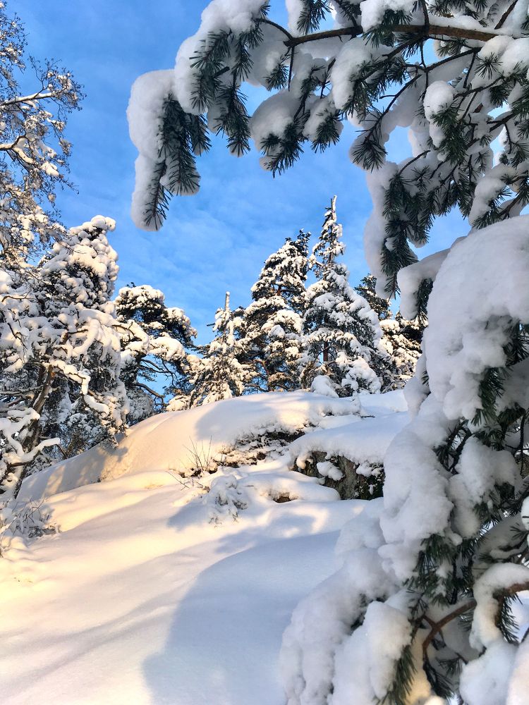 Солнечный зимний день.