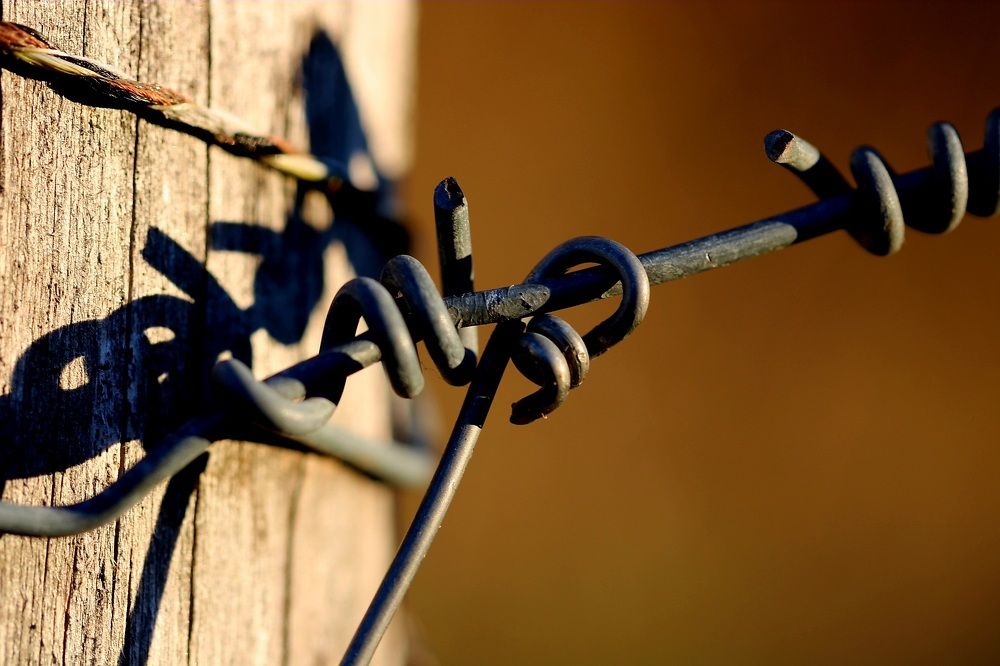 Photograph by Sonia Crotta