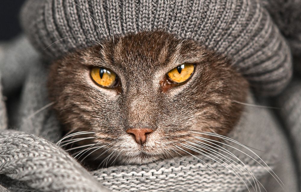 Photograph by Ольга Кудина