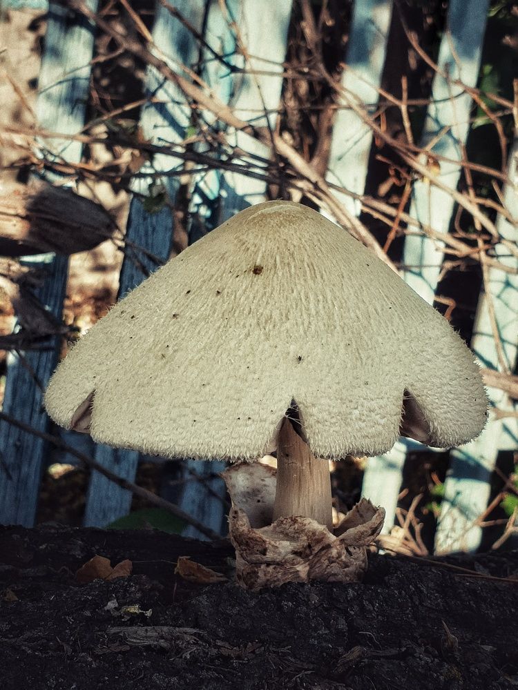 Photograph by Нина Москалёва