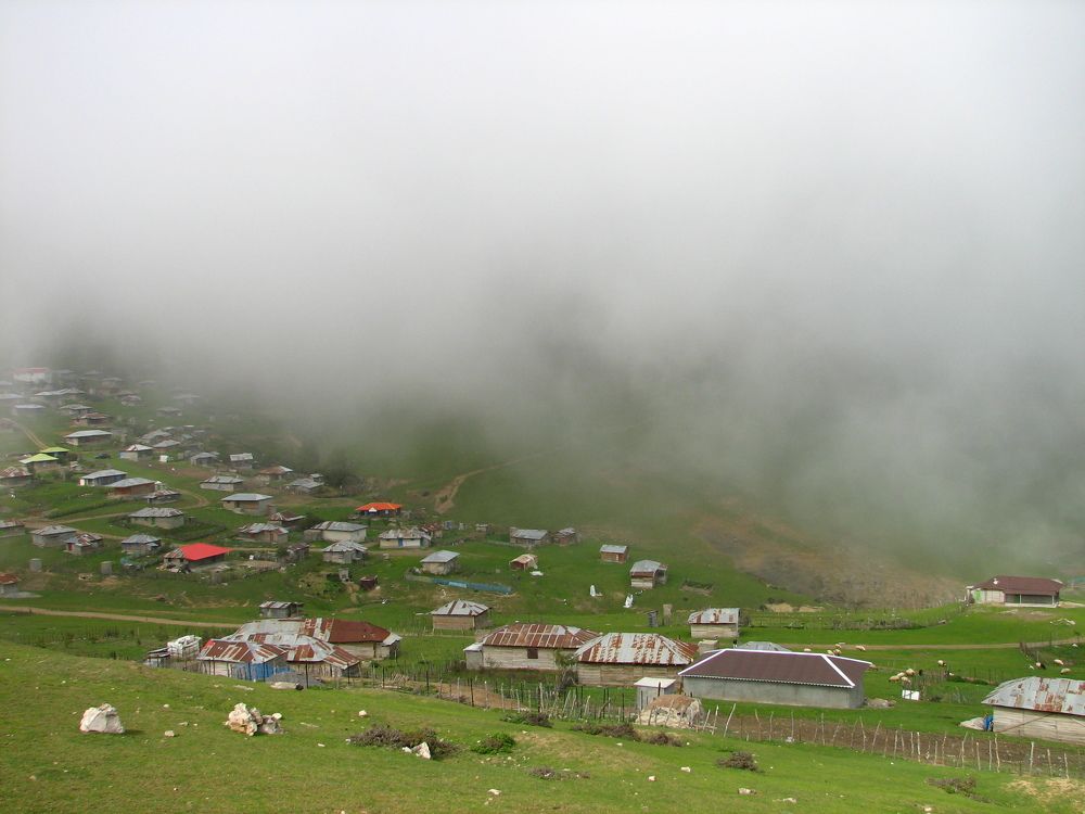 Фотография автора koroush aghadavoodi