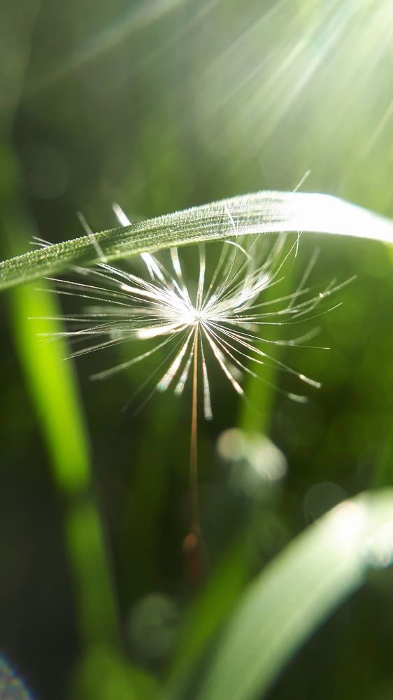 Photograph by Алиса Чугунова