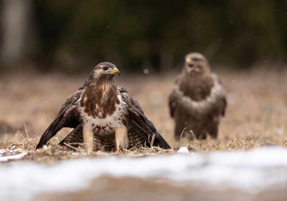 Photograph by Vladimir Pakalevich